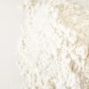 full cream milk powder bulk