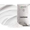 lactose
