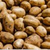 potato protein