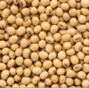 soy protein isolate bulk