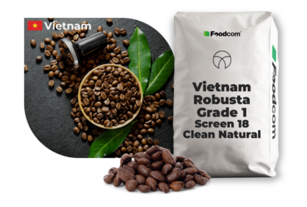 Vietnam Robusta Grade 1 Screen 18 Natural