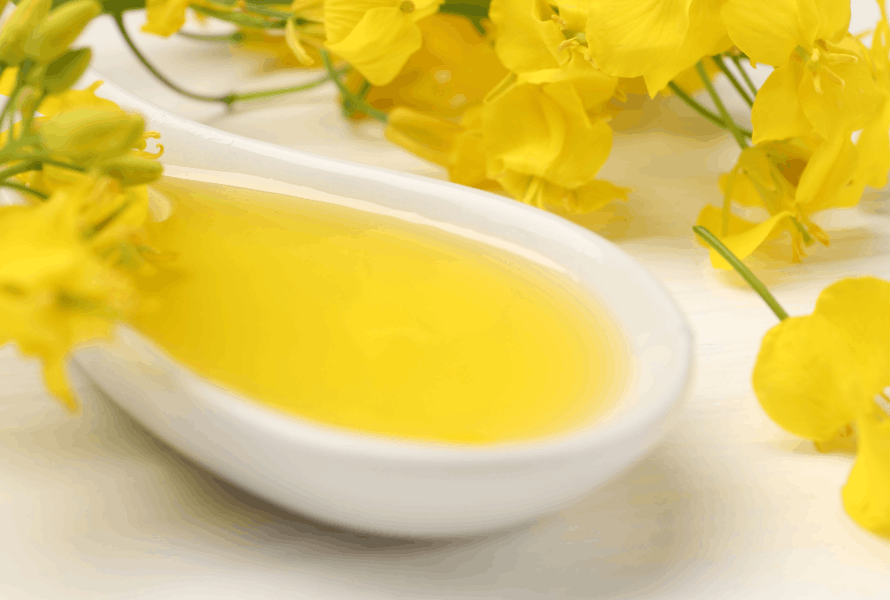 Rapeseed Lecithin