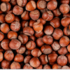 whole hazelnut kernels