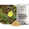 tribulus terrestris extract