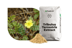 tribulus terrestris extract