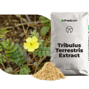 Estratto di Tribulus terrestris