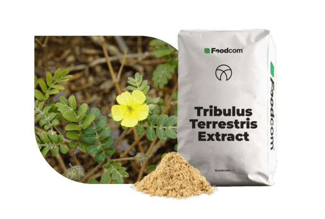 tribulus terrestris extract