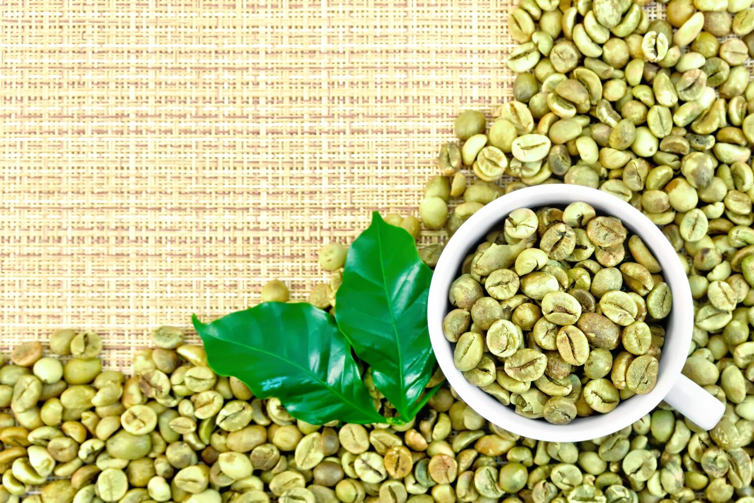 Arabica versus robusta – what’s behind their flavours and which coffee to choose?