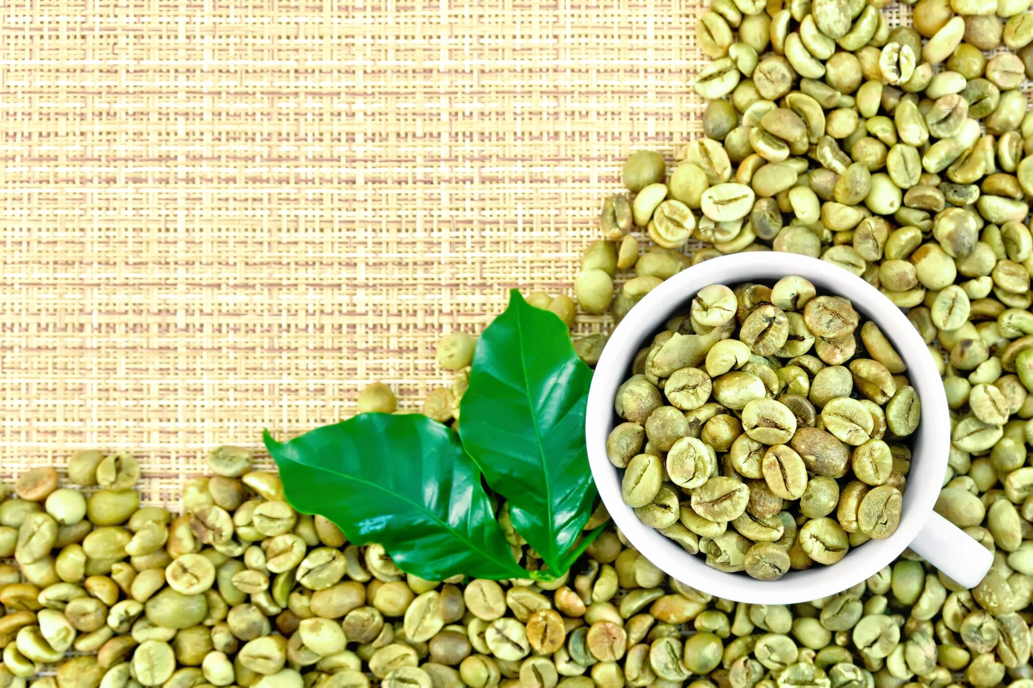 Arabica kontra robusta – co kryje się za ich smakiem i którą kawę wybrać?