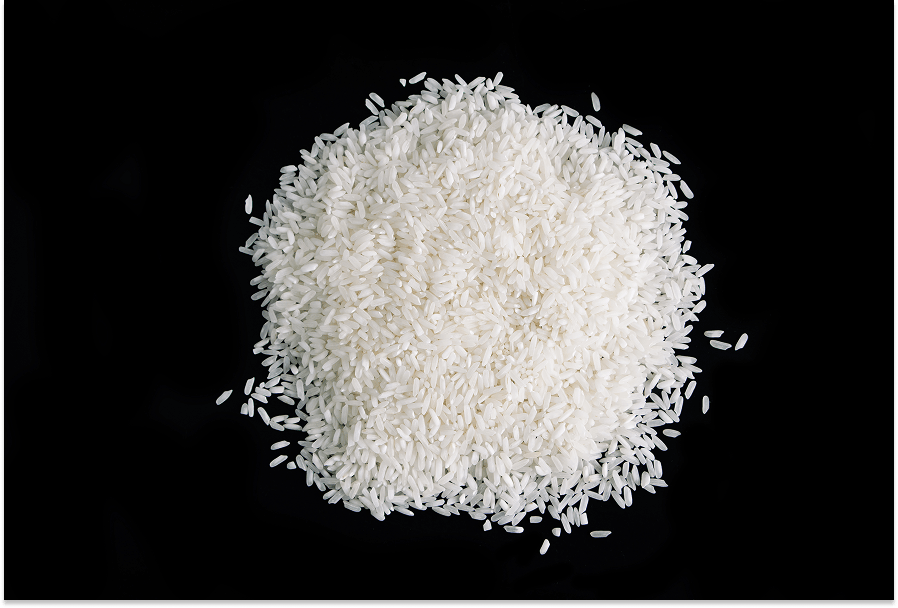 rice protein bulk
