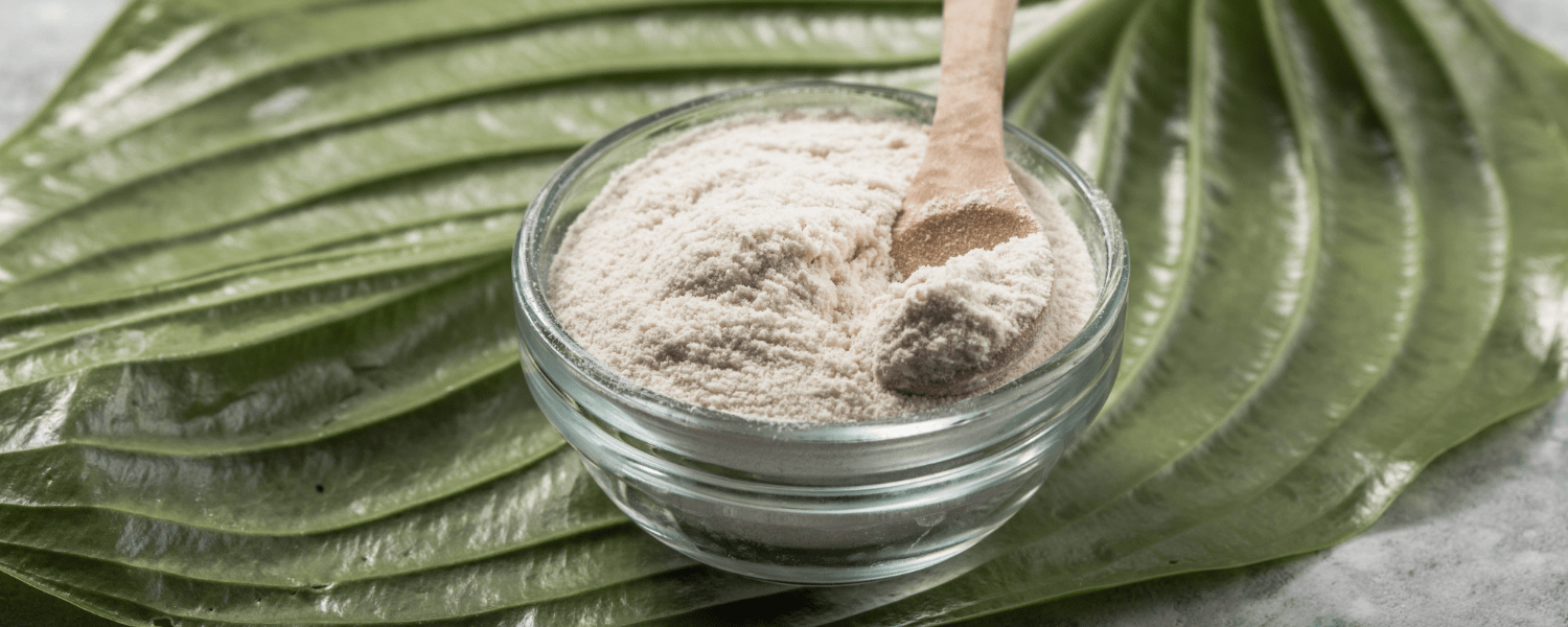 Colágeno o MSM: ¿cómo mantener las articulaciones de forma natural? Collagen or MSM - how to support your joints naturally?