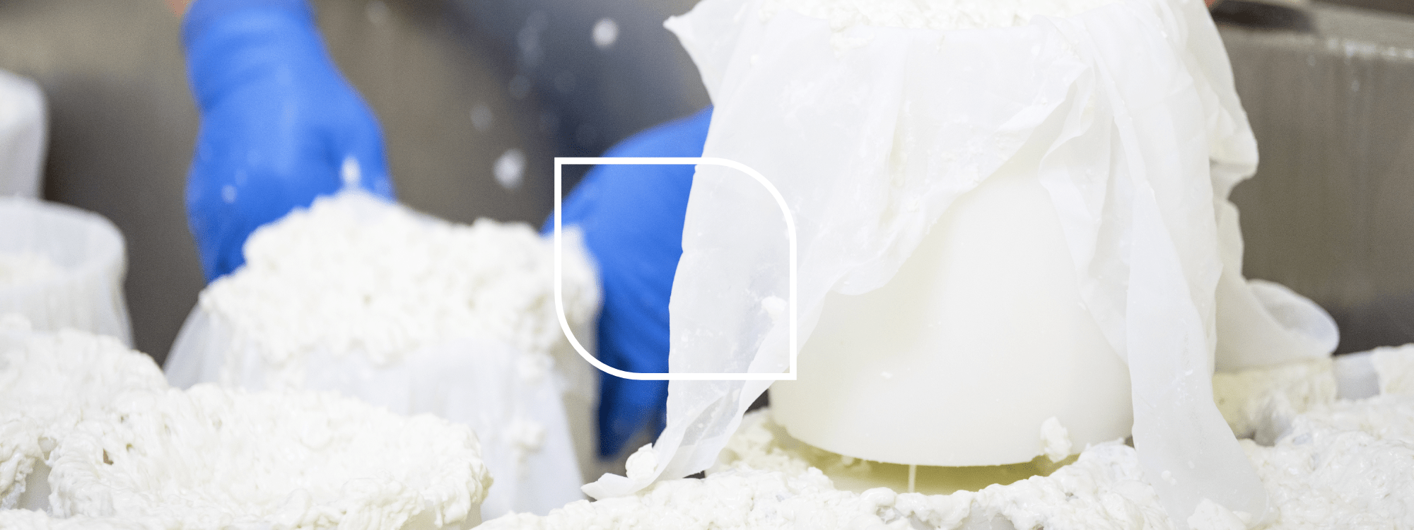 Types of whey - concentrate, isolate, and hydrolysate