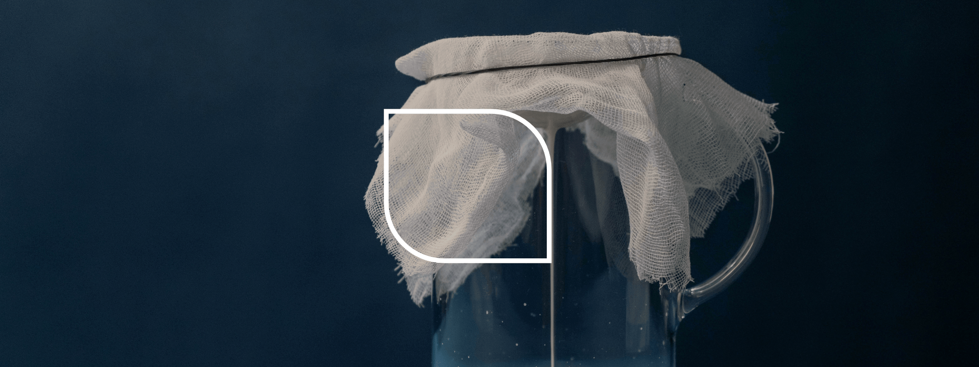 Where can you find high-quality whey products