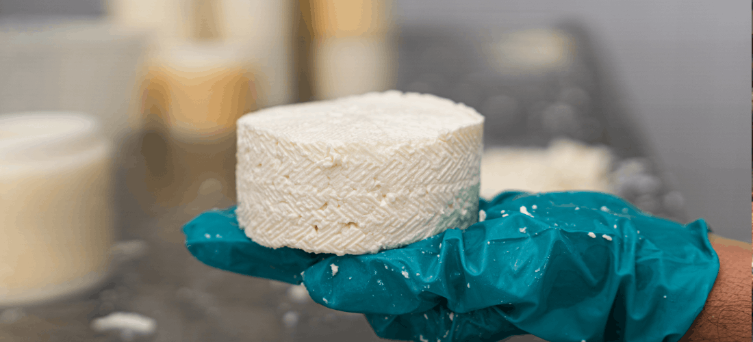 rodzaje serwatki - koncentrat, izolat i hydrolizat