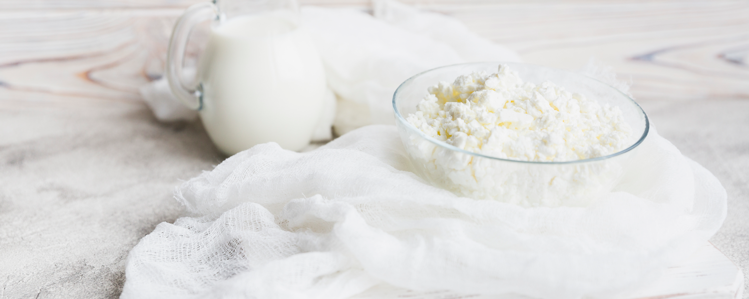 Casein – a natural protein building block with a wide range of applications Casein – a natural protein building block with a wide range of applications