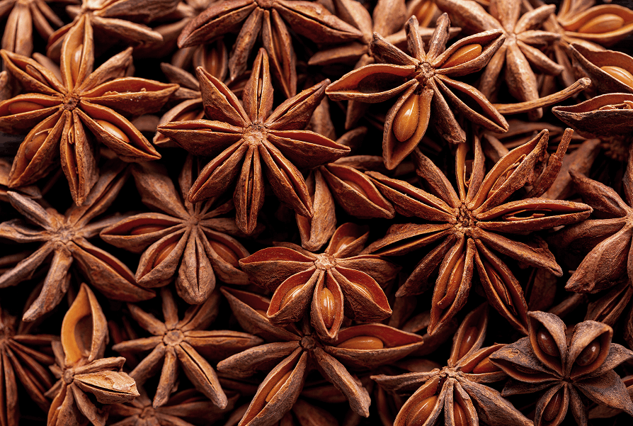 anise star bulk