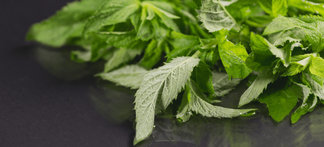 from-kitchen-to-industry