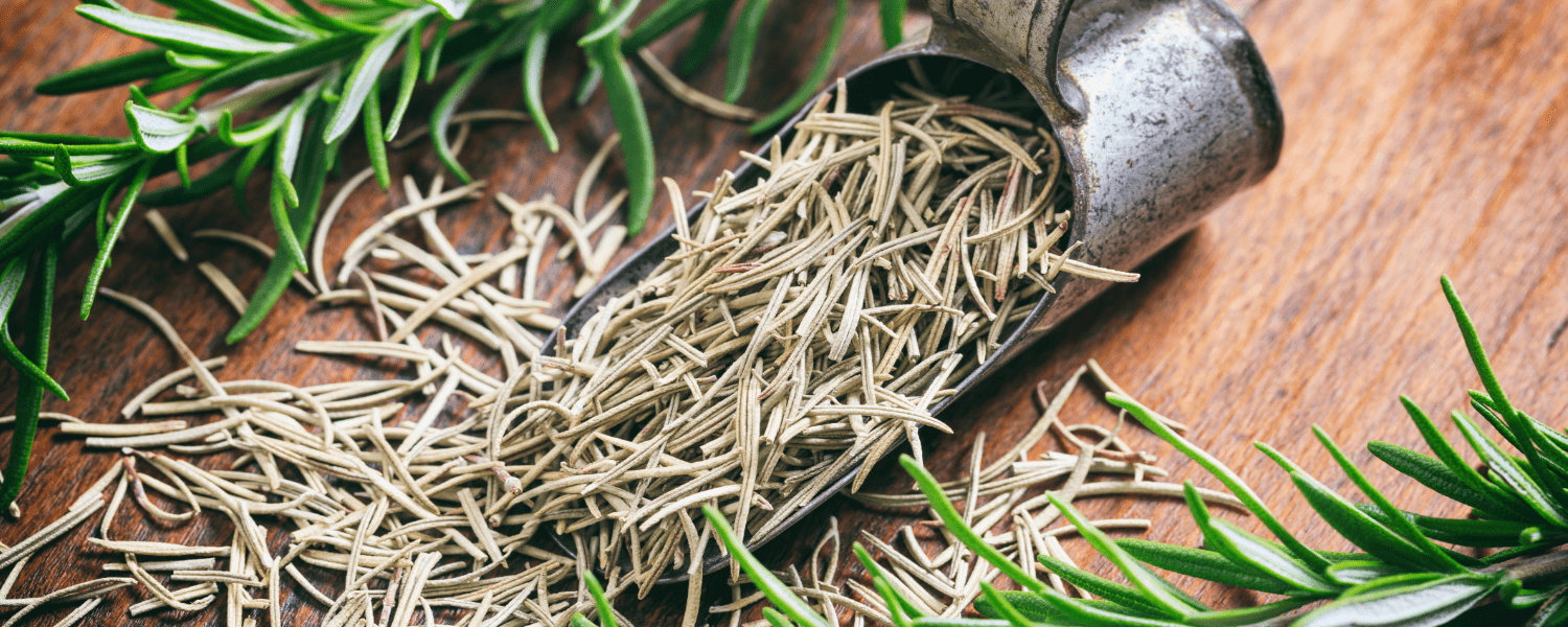 ekstrakt z rozmarynu czym jest i jak działa kwas karnozowy właściwości antyoksydacyjne