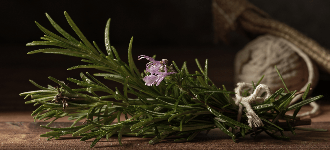 ekstrakt z rozmrynu w kosmetyce zastosowanie