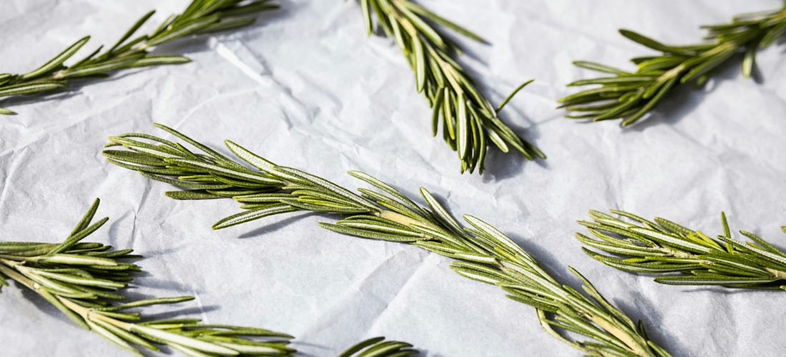 wlasciwosci ekstraktu z rozmarynu