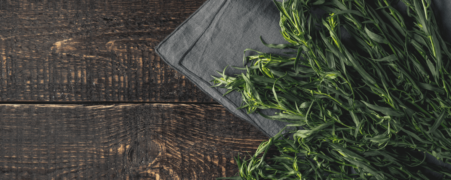 estragon - zielony sekret w kuchni i nie tylko