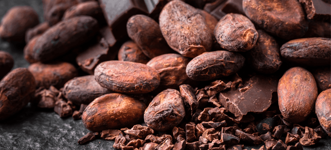 uprawa i pochodzenie ziaren kakaowca