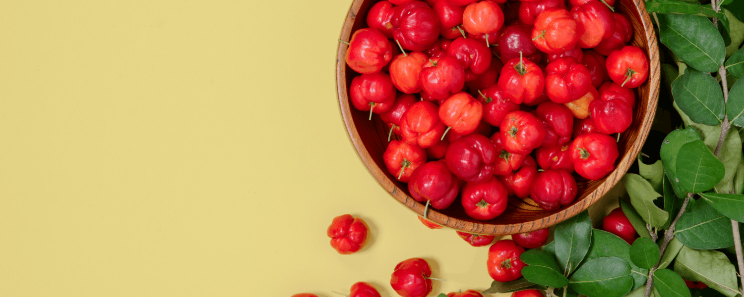 acerola - properties, uses, and potential in industry, cosmetics and medicine