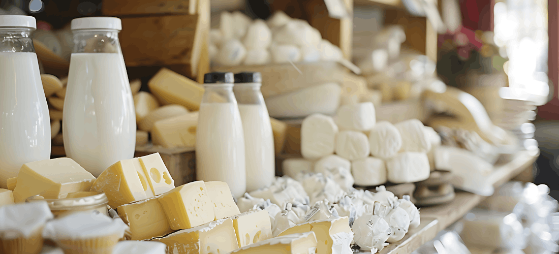 hurtownia nabiału na co zwrócić uwagę przy wyborze
