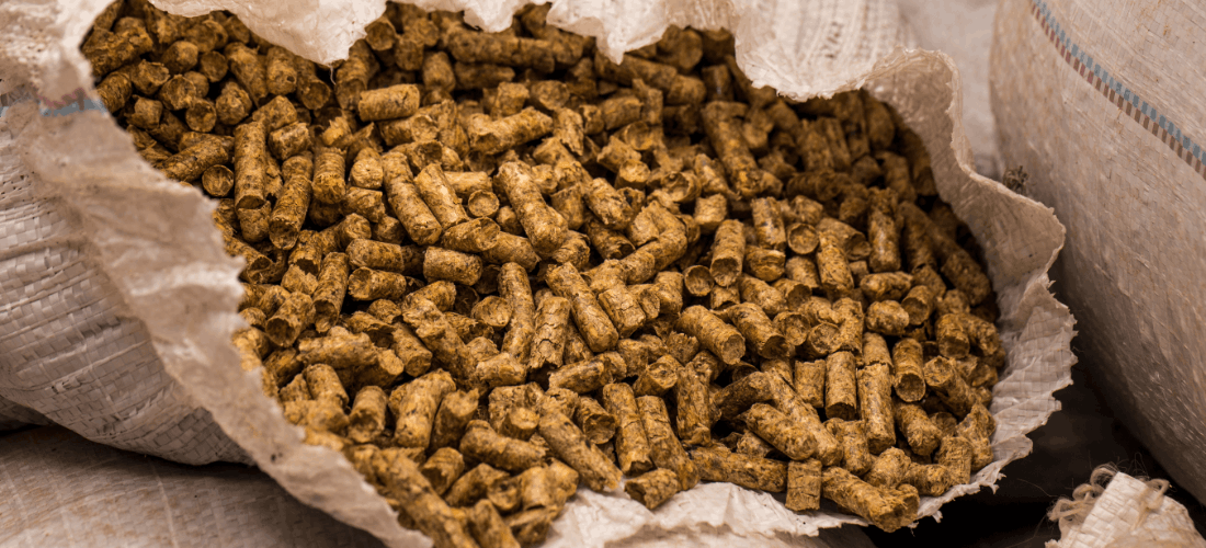 pasza dla prosiąt - od czego zacząć