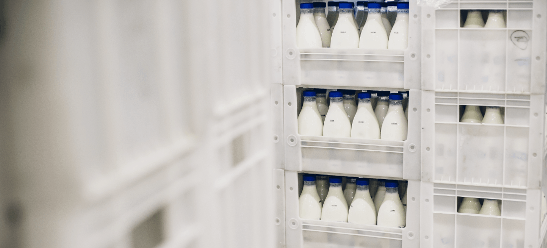 produkty mleczne w nowoczesnym przemyśle spożywczym