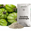 garcinia cambogia